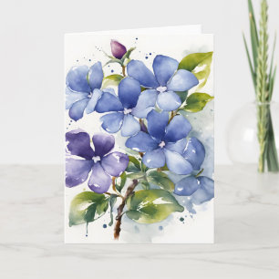 Immergrün - Aquarellblumen Karte