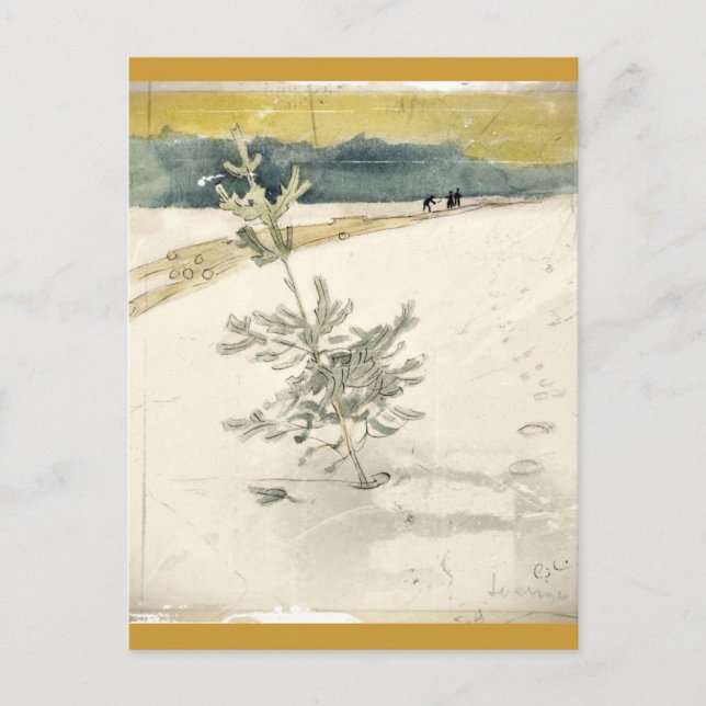 Immergrün Postkarte (Vorderseite)