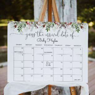 Immergrün: Schwangerschafts-Kalender erraten Poster