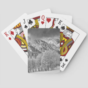 Immergrüne und Espenbäume in einem Schneesturm Spielkarten