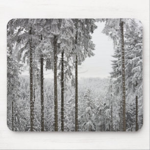 Immergrüner Wald im Winter Mousepad