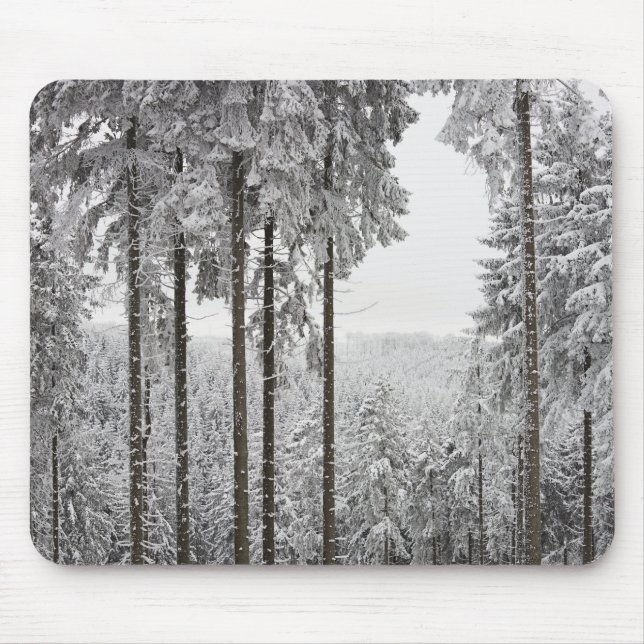 Immergrüner Wald im Winter Mousepad (Vorne)