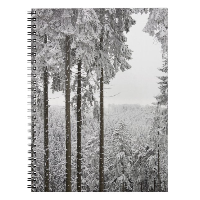 Immergrüner Wald im Winter Notizblock (Vorderseite)