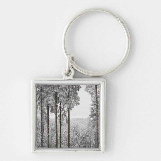Immergrüner Wald im Winter Schlüsselanhänger (Vorne)