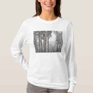 Immergrüner Wald im Winter T-Shirt
