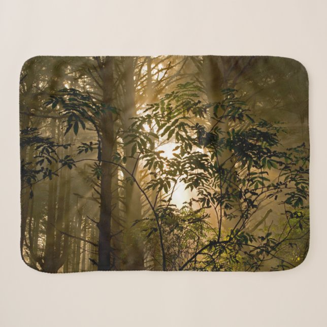 Immergrüner Wald | Oregon-Küste Sherpadecke (Vorderseite (Horizontal))