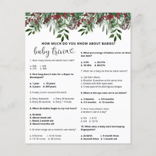Immergrünes Schnee-Baby-Quiz   Baby-Shower-Spiel