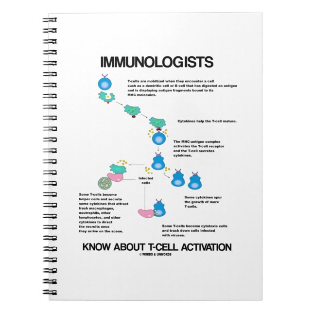 Immunologen kennen die T-Zell-Aktivierung Notizblock (Vorderseite)