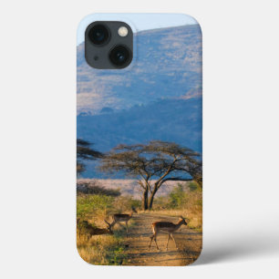 Impala (Aepyceros Melampus), Hluhluwe-Umfolozi Case-Mate iPhone Hülle