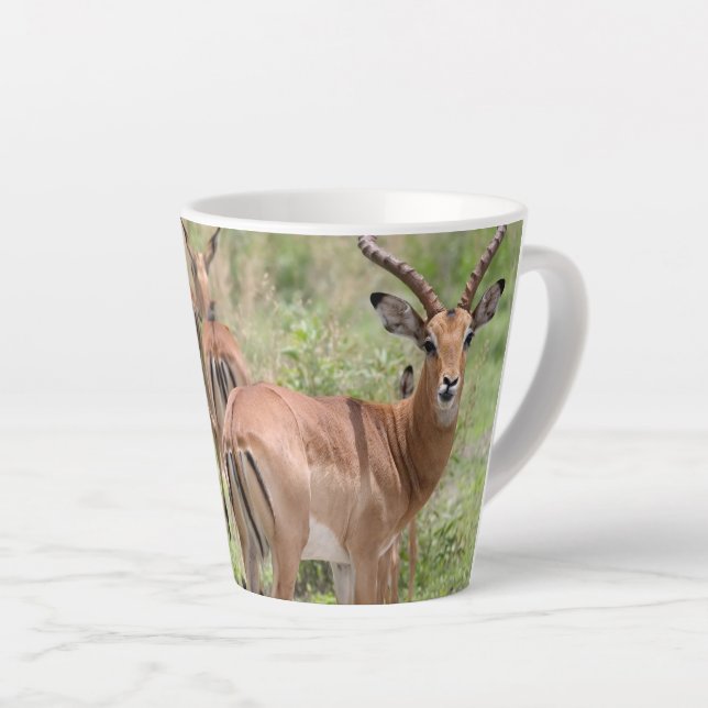 Impala im Okavango-Delta Milchtasse (Rechte Ecke)