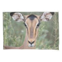 Impala Portrait