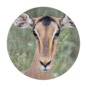 Impala Portrait Schneidebrett