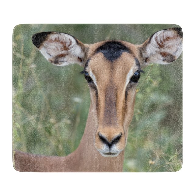 Impala Portrait Schneidebrett (Vorderseite)