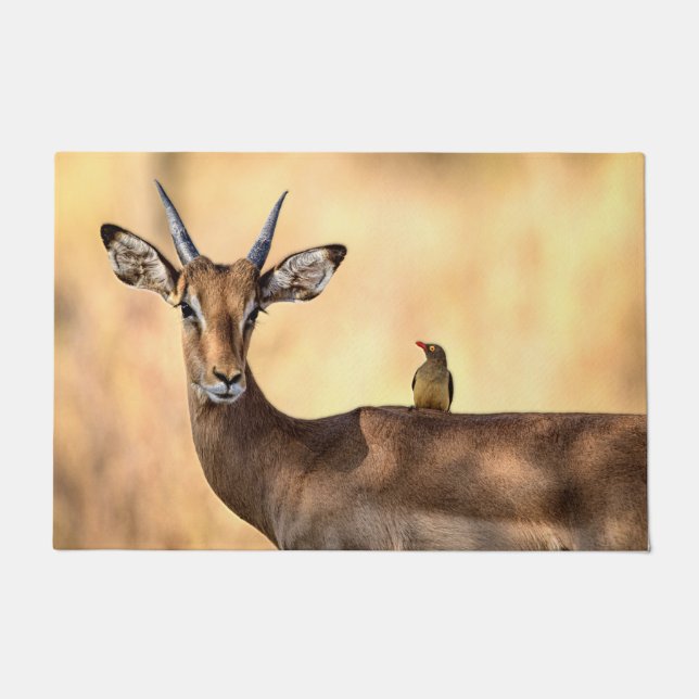 Impala und Oxpecker Bird in Afrika Fußmatte (Vorderseite)