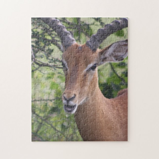 Impala Wildlife Jigsaw Puzzle Puzzle (Vertical)