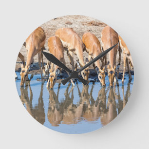Impalas am Waterhole Runde Wanduhr