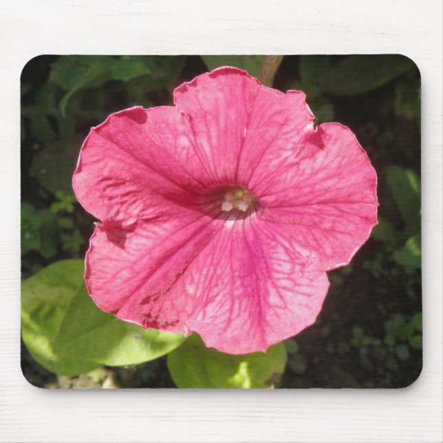 Impatiens Dark Pink Mousepad (Vorne)