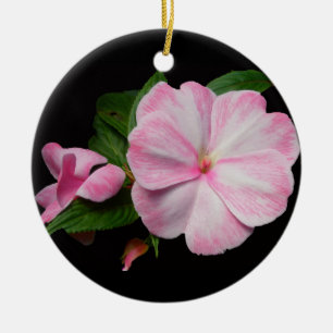 Impatiens Pink Weiße Weihnachtsschmuck