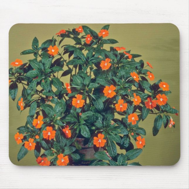 Impatiens, Rotglühen Rosa-Blumen Mousepad (Vorne)