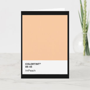 Impeach Trump 45 - Farbpalette Karte