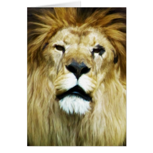 Imperfect King (Vorne)