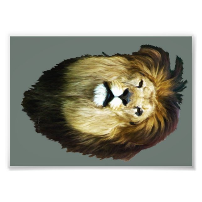 Imperfect King Fotodruck (Vorne)