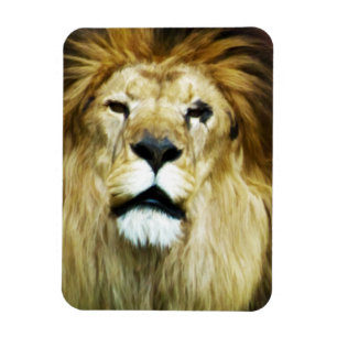 Imperfect King Magnet