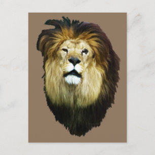 Imperfect King Postkarte