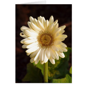 Imperfections perçues