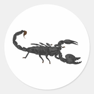 Imperial Black Scorpion Runder Aufkleber