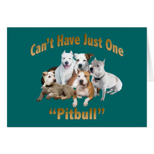 Impossible d'avoir un seul Pitbull (Devant Horizontal)