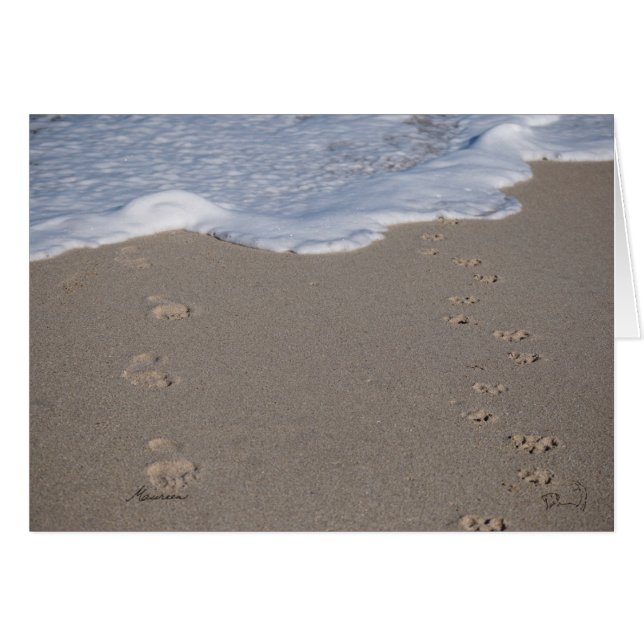 Impossible d'enregistrer le temps. Dépensez-le jud (Devant horizontal)