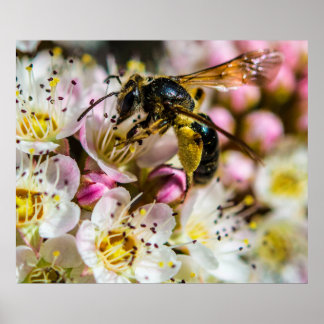 Impression archivistique 28x24 Abeille dans le qua