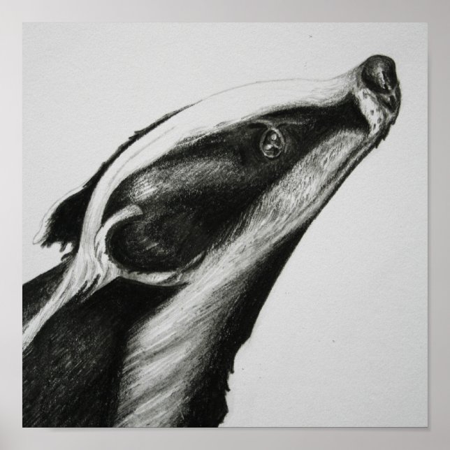 Impression Badger (Devant)