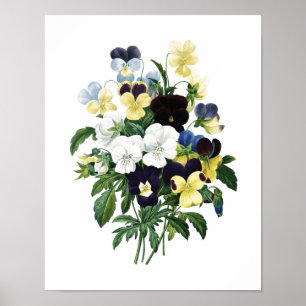 Impression botanique de PANSIES original par Redou