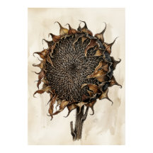 Impression botanique de tournesol séché | Vintage