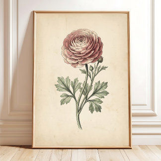 Impression botanique sur toile de Ranunculus