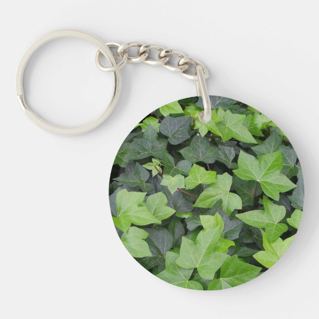 Impression botanique verte Ivy (Devant)