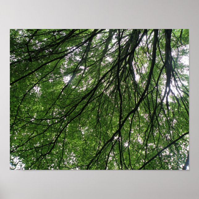 Impression Branches et Feuilles (Devant)