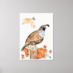 Impression Canvas de Californie