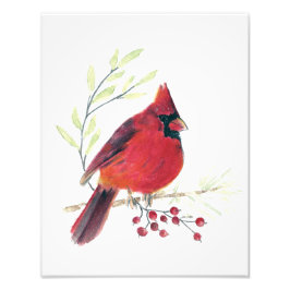 Impression Cardinal Watercolor