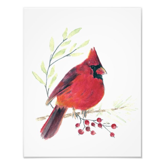 Impression Cardinal Watercolor (Devant)