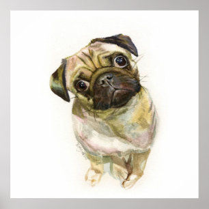 Impression carlin face Chien de Carlin mignon