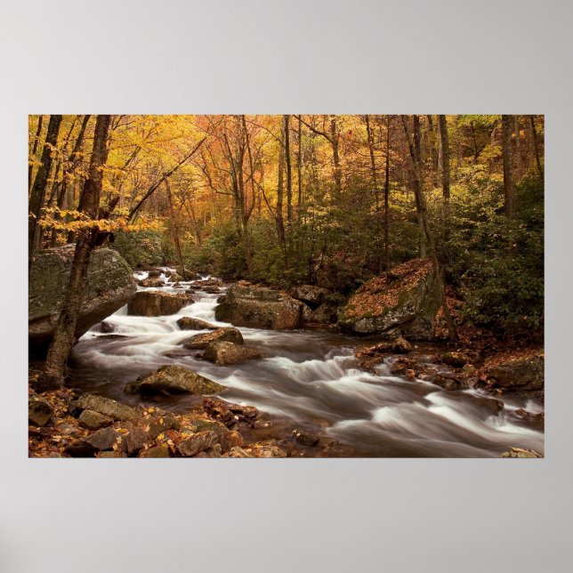 Impression cascade d'automne (Devant)