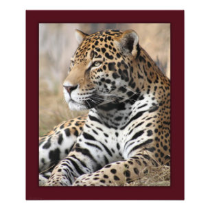 Impression classique Jaguar -20x24 -autres tailles