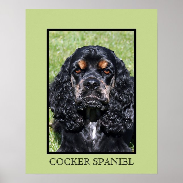 Impression Cocker Spaniel (Devant)