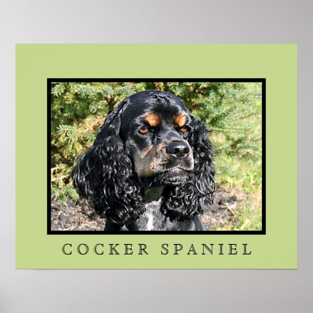 Impression Cocker Spaniel (Devant)