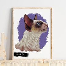 Impression Cornish Rex Cat | Impression murale de 