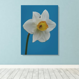 Impression Daffodique