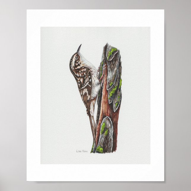 Impression d'art Creeper Brown (Devant)